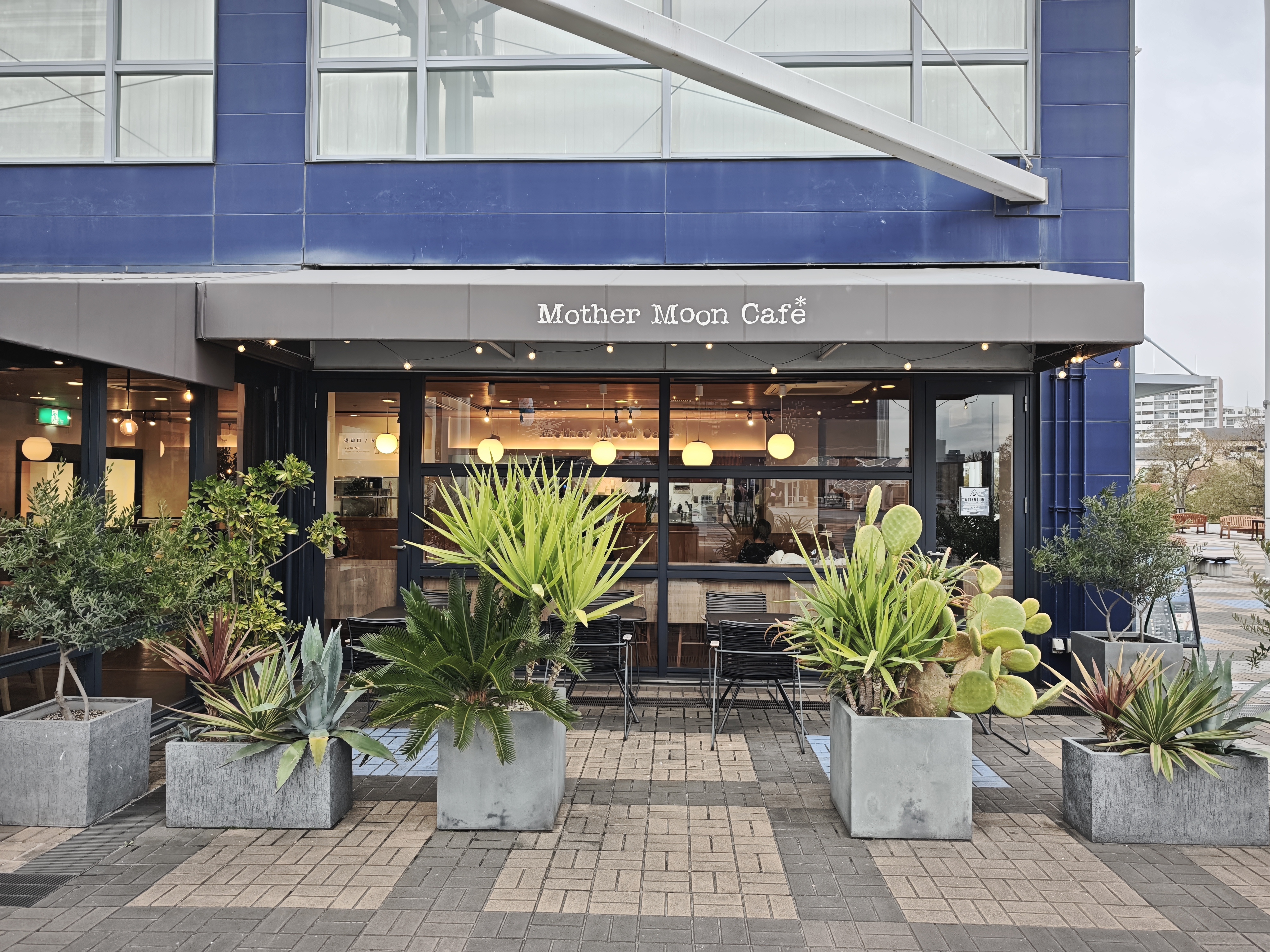 Osaka Bay (Kaiyukan) Area】Enjoy Ocean-Themed Menu Items at a Café